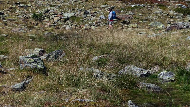 2017-09-08_125110 trentino-suedtirol-2017.jpg - Wanderung Goldseeweg oberhalb von Trafoi